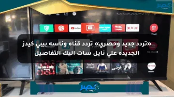 «تردد جديد وحصري» تردد قناة وناسة بيبي كيدز الجديدة على نايل سات إليك التفاصيل